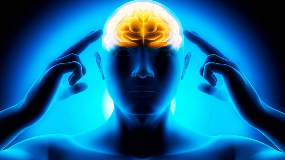 Mentalno zdravlje – temelj našeg zdravlja i snage!